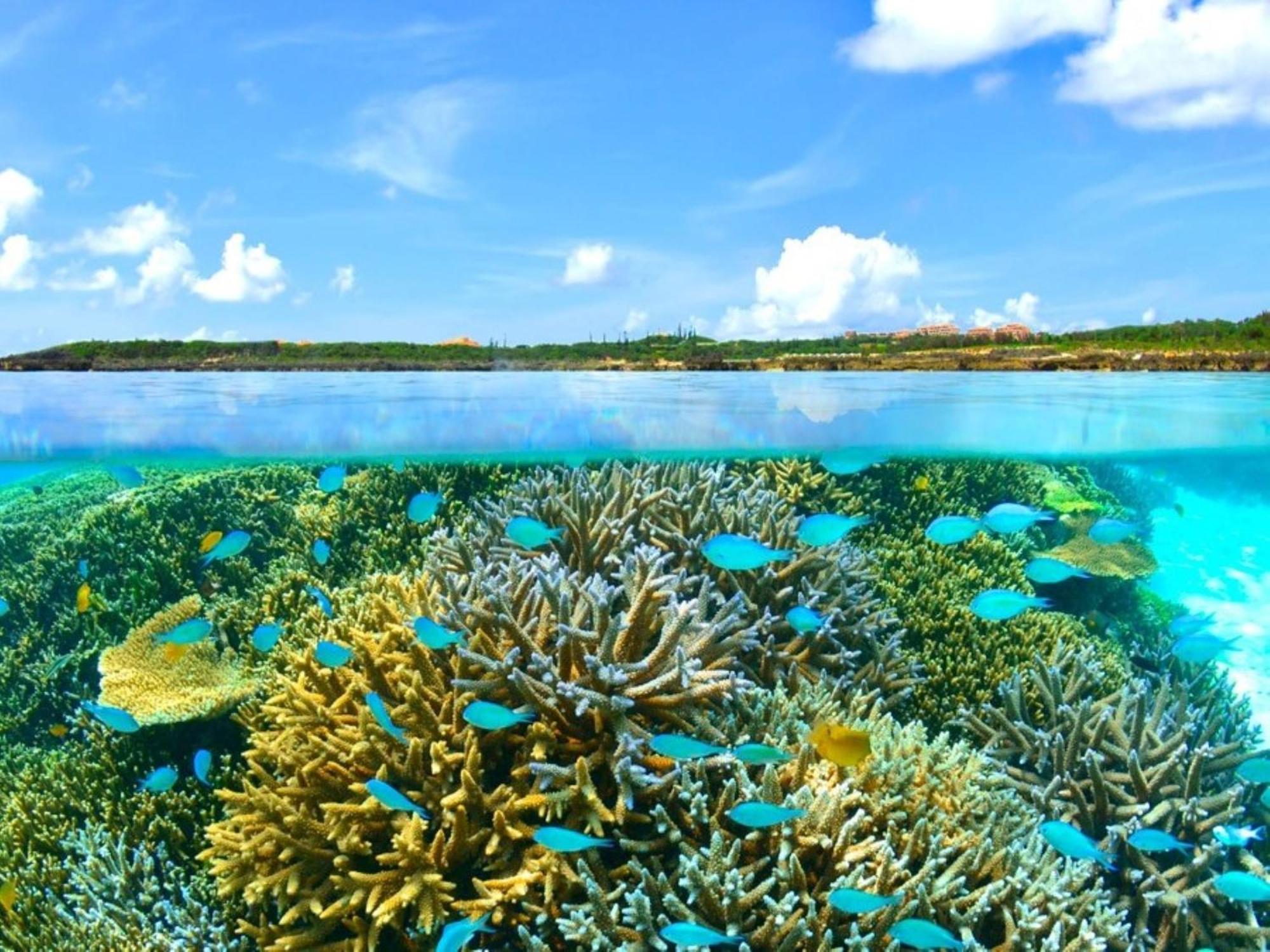 Allamanda Imgya Coral Village Miyakojima  Extérieur photo